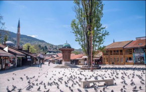 Apartman Hadi